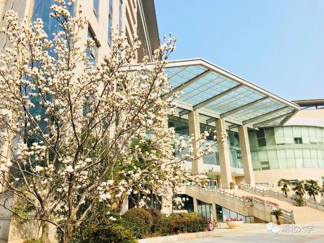 英国365上市公司官网校长谢红星在学生班会上的特别寄语：热爱生活，珍爱生命